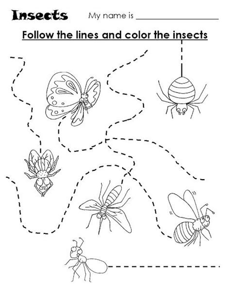 Bugs And Insects Preschool Worksheets