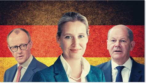 'Germany needs new elections' - Right-populist AfD party's hits record ...