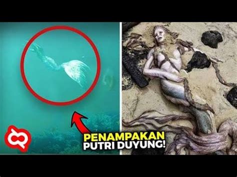 Putri Duyung Asli Masih Hidup – newstempo