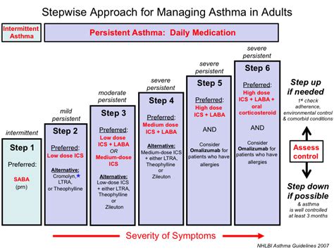 New Insights Into The Treatment Of Persistent Asthma The, 46% OFF