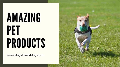 20 Amazing Pet Products Online That You'll Want To Own