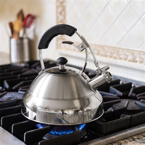 Top Rated Stainless Steel Stovetop Tea Kettles at Katherine Miller blog