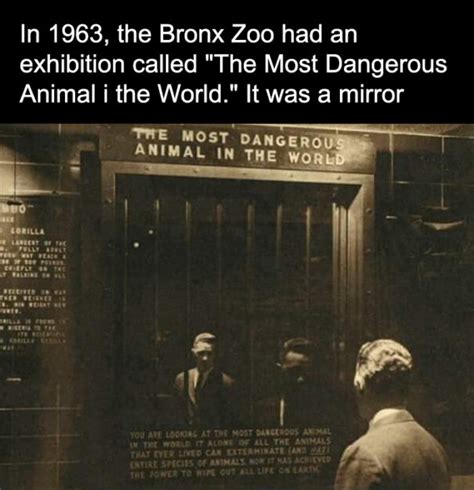 20 Haunting Facts And Pics That Might Keep You Awake At Night | DeMilked