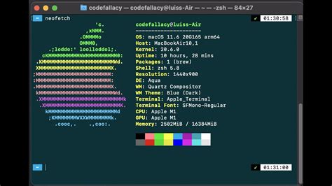 How to install oh-my-zsh and Powerlevel10k theme on your M1 macbook ...