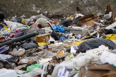 Garbage dump at waste processing site. Environment pollution concept Stock Photo by fotojv