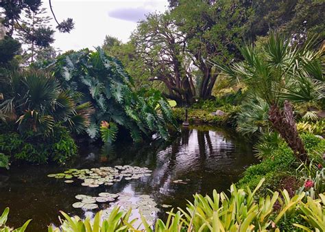 Jungle Garden at the Huntington Botanical Gardens, San Marino ...