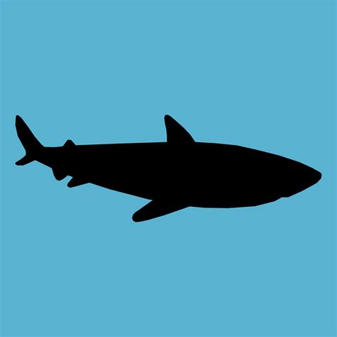 Shark Silhouette Free Stock Photo - Public Domain Pictures