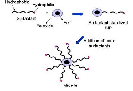 Schematic diagram of the mechanism of INP stabilization by non-ionic ...