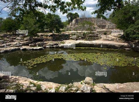 Cenote Xlakah in the Mayan ruins of Dzibilchaltun on Mexico's Yucatan peninsula, Mexico Stock ...