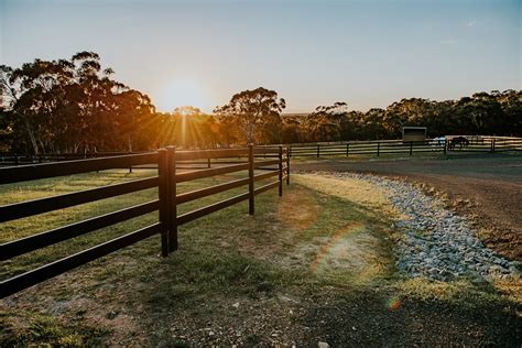 Best horse fencing design ideas in 2024