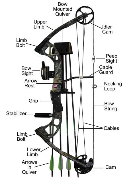 The Best Beginner Bows for Target Archery - SkyAboveUs