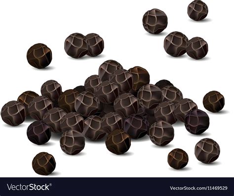 Black pepper closeup Royalty Free Vector Image