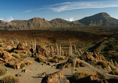 Top 8 must-see Tenerife attractions | YOLO Travel Experiences