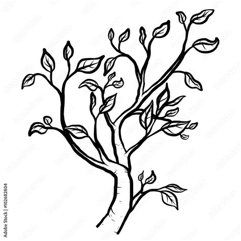 Tree Branches Black And White Drawing