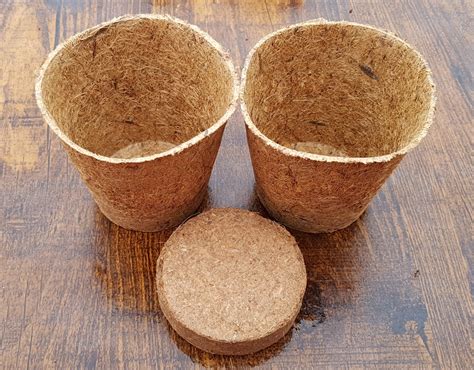 Coir Compost Discs for Coir Pots x10 - Green Gardener