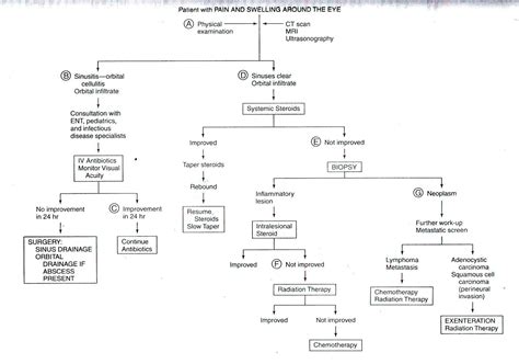 Image result for proptosis causes | Sinusitis, Pediatrics, Antibiotic