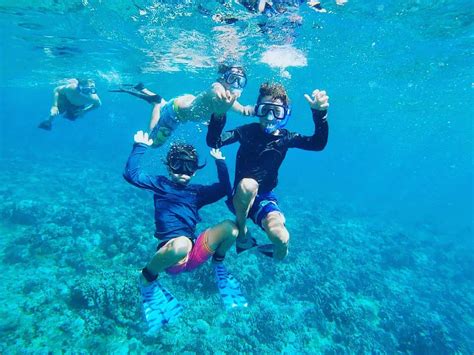 A Beginner's Guide to Snorkeling - Hawaii Ocean Rafting