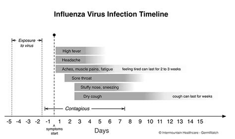 Influenza - Seasonal Flu | Intermountain Healthcare