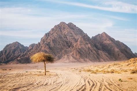 desert sinai - Living + Nomads – Travel tips, Guides, News & Information!