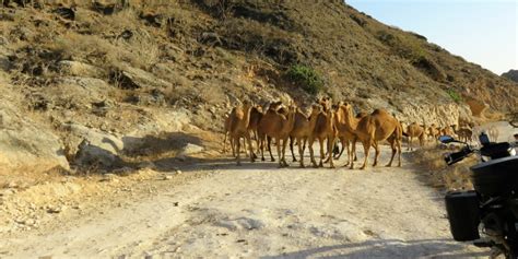 DUBAI & OMAN MOUNTAIN WITH DESERT SAFARI | Oman Desert Safari