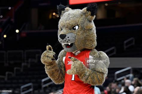 The Davidson Wildcats mascot performs against the Fordham Rams during ...