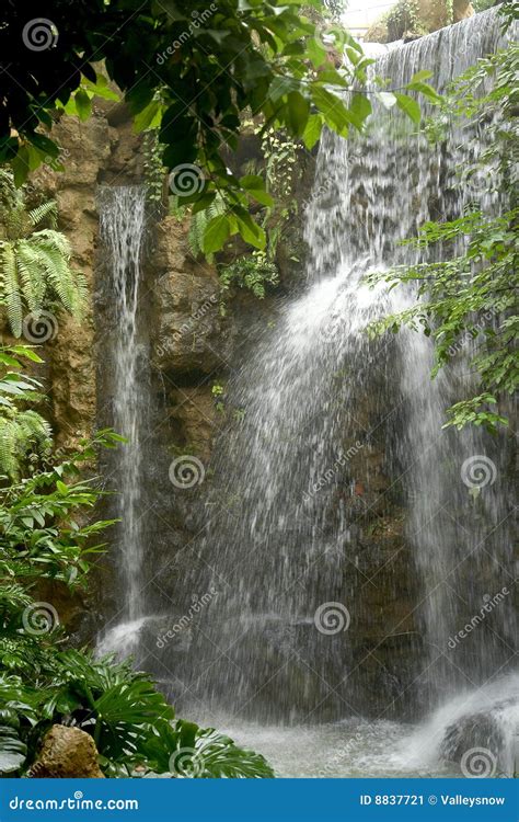 Waterfalls stock image. Image of rainforest, tranquil - 8837721