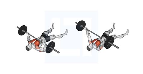 Barbell Floor Chest Press - Guide, Benefits, and Form