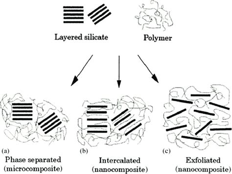 Possible structures of polymer nanocomposites using layered nanoclays:... | Download Scientific ...