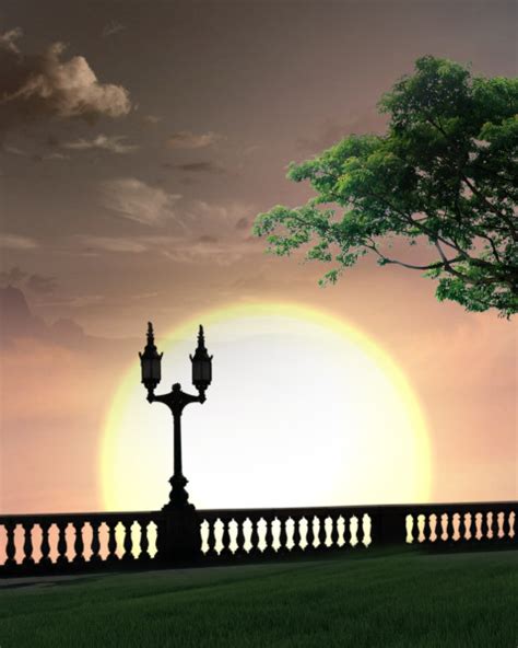 Sunset in Park Hd Backgrounds Total PNG | Free Stock Photos