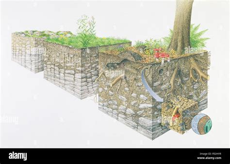 Cross-section of terrain types, drawing Stock Photo - Alamy