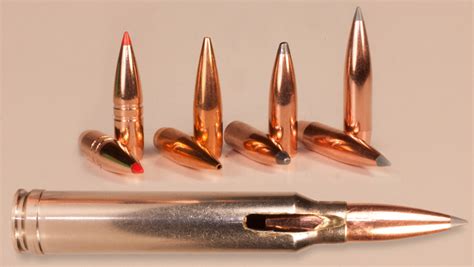 .300 Winchester Mag [Caliber]: Best Ammo & Rifles - Pew Pew Tactical