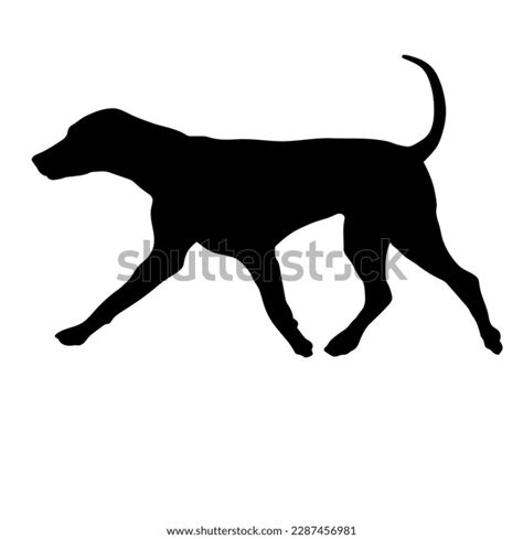 Dog Running Silhouette Vector Dog Breeds Stock Vector (Royalty Free) 2287456981 | Shutterstock