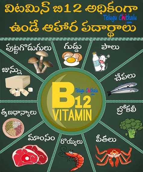 Vitamin B12 rich foods విటమిన్ బి12 అధికంగా ఉండే ఆహార పదార్థాలు