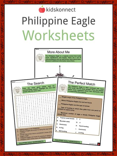 Philippine Eagle Facts, Worksheets, Distribution & Habitat For Kids