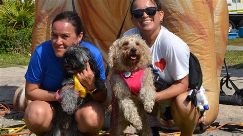 34th Annual Walk for the Animals Returns to Fort Lauderdale Beach ...