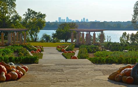 Pumpkins Take Over Dallas Arboretum Fall Festival