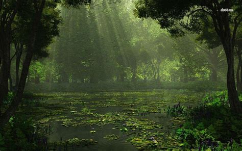 Swamp Backgrounds - Wallpaper Cave