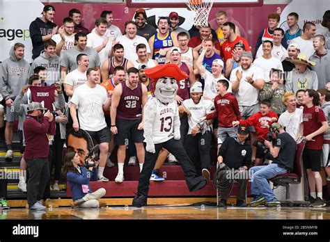 Lafayette leopards mascot hi-res stock photography and images - Alamy