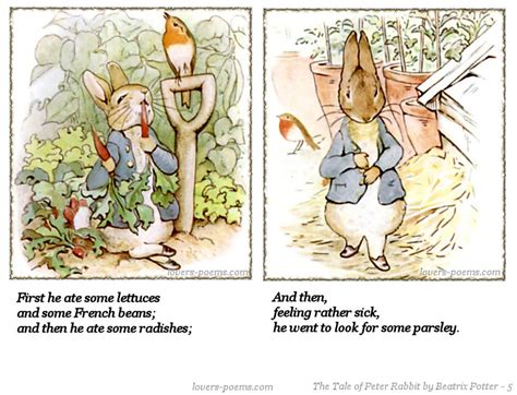 Tale Of Peter Rabbit Quotes. QuotesGram