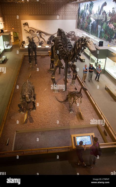 Peabody Museum of Natural History Yale University Stock Photo - Alamy