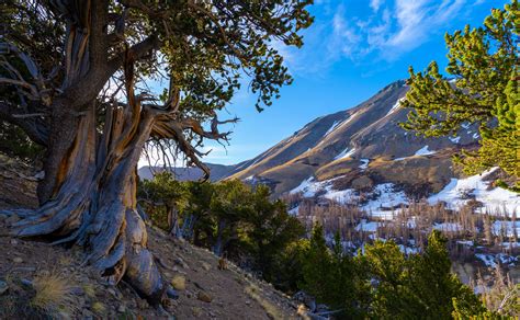 La Garita Wilderness hiking to San Luis Peak | 23 May 2020 : r/Colorado