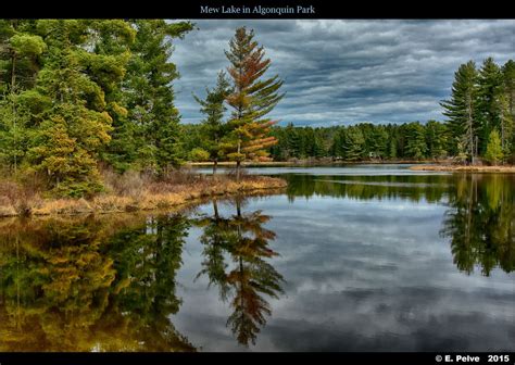 Mew Lake in Algonquin Park | by episa Group Of Seven Artists, Lanscape ...