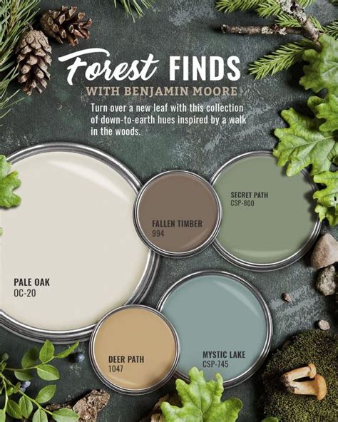 Benjamin Moore Forest Green Paint Color Scheme | Paint colors for home, House color schemes ...