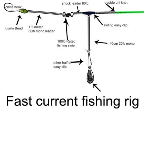 fast current fishing rig diagram , western port rig, gummy shark rig ...