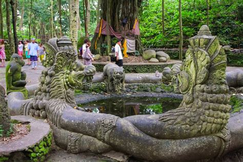 Ubud Monkey Forest Sanctuary, Bali Editorial Stock Image - Image of ...