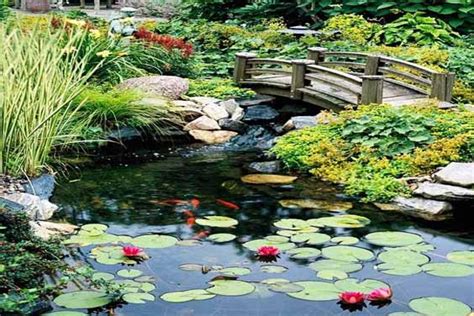 30+ Beautiful Koi Pond Ideas for Your Garden | Mountain Tree