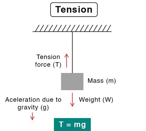 Compression Vs Tension | Example of Tension Force & Compression Force | Tension Force Formula (2023)