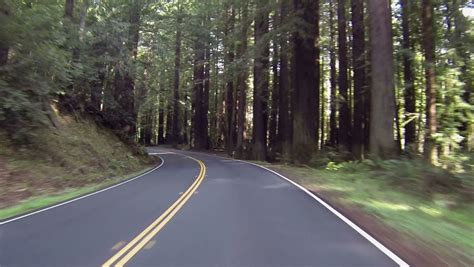 Vacation Drive Through Redwood Forest Stock Footage Video (100% Royalty ...