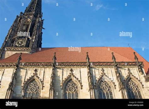 Munster cathedral, Munster North Rhine-Westphalia, Germany Stock Photo - Alamy