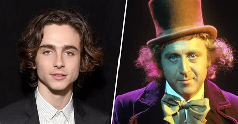 Timothee Chalamet to play young Willy Wonka in new movie